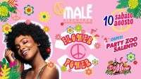 MALE' DISCOTECA COSTE DEL SUD -  - 10 AGOSTO - EVENTI SALENTO