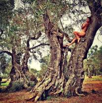 Naike Rivelli posa nuda “alberi incantati” del Salento