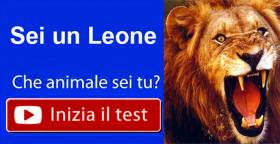 Quiz e test su Facebook e i vari social, l'allarme della polizia: "quali rischi si corrono?"